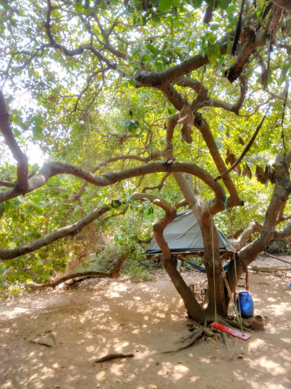 Peace Garden Inn Auroville Zewnętrze zdjęcie